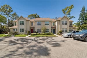 2158 CLOVER HILL ROAD, PALM HARBOR, FL 34683 - MLS#MFRTB8486012