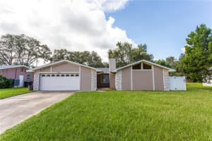 2021 VALLEY DRIVE, DUNEDIN, FL 34698 - MLS#MFRTB8486032