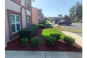 6424 SPRING FLOWER DRIVE, NEW PORT RICHEY, FL 34653 - MLS#MFRTB8486047