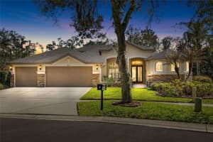 5919 Jaegerglen Dr, LITHIA