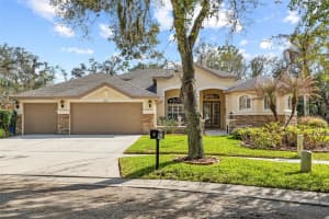 5919 JAEGERGLEN DRIVE, LITHIA, FL 33547 - MLS#MFRTB8486053