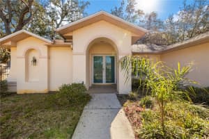 2396 GALAHAD AVENUE, SPRING HILL, FL 34608 - MLS#MFRTB8486062