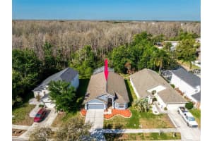 4045 MARCHMONT BOULEVARD, LAND O LAKES, FL 34638 - MLS#MFRTB8486072