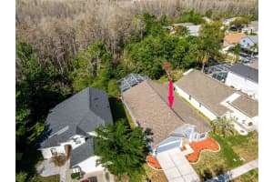 4045 MARCHMONT BOULEVARD, LAND O LAKES, FL 34638 - MLS#MFRTB8486072
