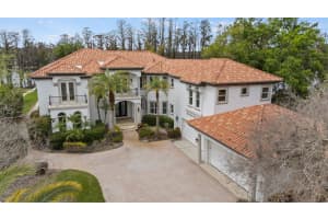 8609 DOLCE VITA LANE, ODESSA, FL 33556 - MLS#MFRTB8486078