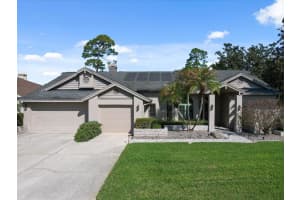 10 Windrush Ct, OLDSMAR 10 Windrush Ct, OLDSMAR
