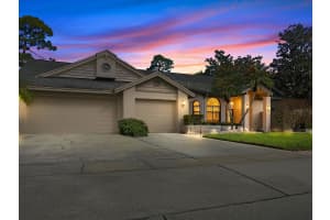 10 WINDRUSH COURT, OLDSMAR, FL 34677 - MLS#MFRTB8486132