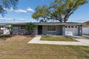 6705 Ralston Beach Cir, TAMPA 6705 Ralston Beach Cir, TAMPA