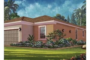 11119 CALLISIA DRIVE, ODESSA, FL 33556 - MLS#MFRTB8486141