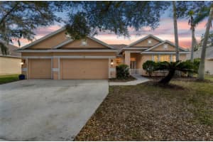 5506 Camille Ct, LUTZ