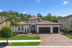 29190 PICANA LANE, WESLEY CHAPEL, FL 33543 - MLS#MFRTB8486164