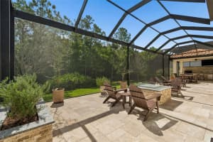 29190 PICANA LANE, WESLEY CHAPEL, FL 33543 - MLS#MFRTB8486164