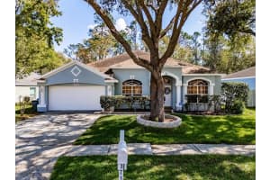 3732 Hollow Wood Dr, VALRICO