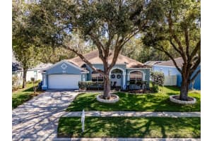 3732 HOLLOW WOOD DRIVE, VALRICO, FL 33596 - MLS#MFRTB8486167