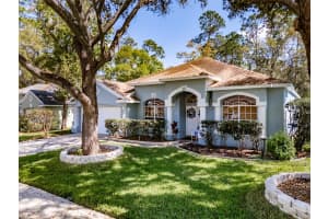 3732 HOLLOW WOOD DRIVE, VALRICO, FL 33596 - MLS#MFRTB8486167