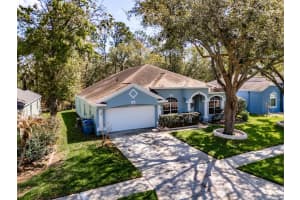 3732 HOLLOW WOOD DRIVE, VALRICO, FL 33596 - MLS#MFRTB8486167