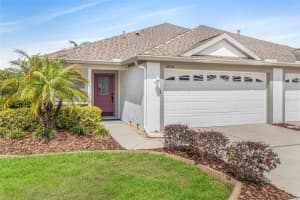 19331 HASKELL PLACE, LAND O LAKES, FL 34638 - MLS#MFRTB8486169