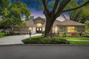 16705 Sheffield Park Dr, LUTZ