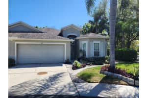 10115 MOWRY LANE, TAMPA, FL 33625 - MLS#MFRTB8486210