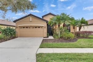 144 SILVER FALLS DRIVE, APOLLO BEACH, FL 33572 - MLS#MFRTB8486212