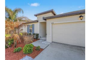 6938 SHELBY LYNN WAY, ZEPHYRHILLS, FL 33542 - MLS#MFRTB8486228