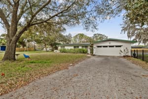 12902 FOREST HILLS DRIVE, TAMPA, FL 33612 - MLS#MFRTB8486229