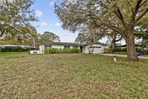12902 FOREST HILLS DRIVE, TAMPA, FL 33612 - MLS#MFRTB8486229