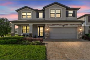 19328 BREYNIA DR, LUTZ, FL 33558 - MLS#MFRTB8486230