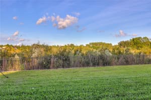 3124 HILLIARD DRIVE, WESLEY CHAPEL, FL 33543 - MLS#MFRTB8486258