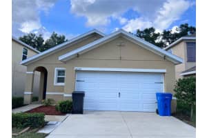 10120 HAWK STORM AVENUE, TAMPA, FL 33610 - MLS#MFRTB8486275