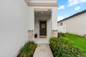 11691 ADAM LEE WAY, DADE CITY, FL 33525 - MLS#MFRTB8486284