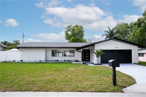 13956 80TH AVENUE, SEMINOLE, FL 33776 - MLS#MFRTB8486290