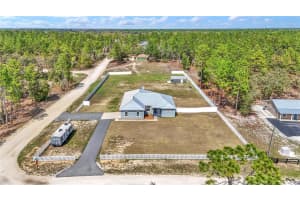 251 148TH AVENUE, WILLISTON, FL 32696 - MLS#MFRTB8486298
