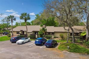 2993 ELDER COURT, PALM HARBOR, FL 34684 - MLS#MFRTB8486308