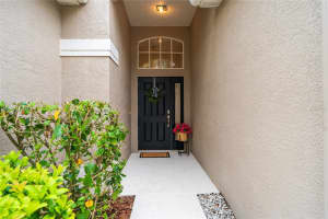 8210 CANARY CANYON WAY, TAMPA, FL 33647 - MLS#MFRTB8486313