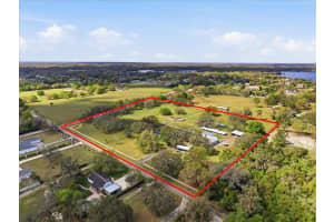 9449 ROBERTS ROAD, ODESSA, FL 33556 - MLS#MFRTB8486319