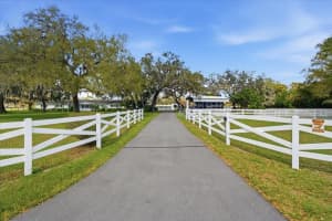 9449 ROBERTS ROAD, ODESSA, FL 33556 - MLS#MFRTB8486319