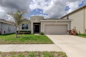 33888 FIELD MAPLE LOOP, WESLEY CHAPEL, FL 33545 - MLS#MFRTB8486336