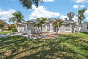 10018 CANNON DRIVE, RIVERVIEW, FL 33578 - MLS#MFRTB8486337