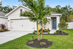 32865 BROOKS HAWK LANE, WESLEY CHAPEL, FL 33543 - MLS#MFRTB8486340