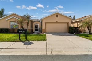 20930 JAFFA LANE, LAND O LAKES, FL 34637 - MLS#MFRTB8486341