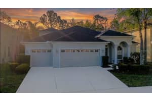 3439 Hickory Hammock Loop, WESLEY CHAPEL