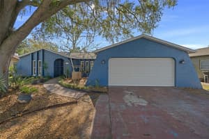 12728 BUCKHORN DRIVE, HUDSON, FL 34669 - MLS#MFRTB8486375