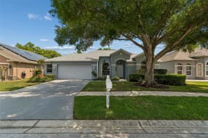 4315 WHITTNER DRIVE, LAND O LAKES, FL 34639 - MLS#MFRTB8486398