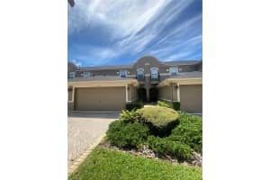 7433 TERRACE RIVER DRIVE, TAMPA, FL 33637 - MLS#MFRTB8486412