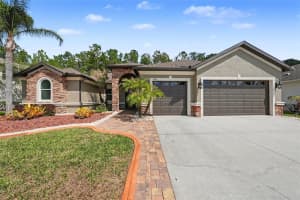 1644 BEACONSFIELD DRIVE, WESLEY CHAPEL, FL 33543 - MLS#MFRTB8486423