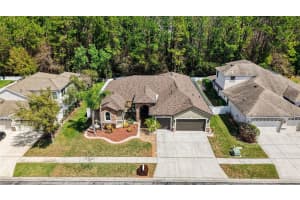 1644 BEACONSFIELD DRIVE, WESLEY CHAPEL, FL 33543 - MLS#MFRTB8486423