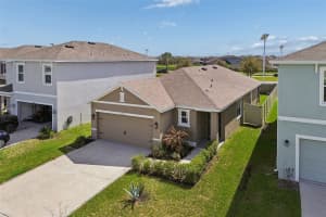 31378 PENNY SURF LOOP, WESLEY CHAPEL, FL 33545 - MLS#MFRTB8486425