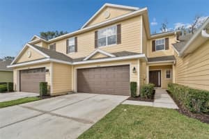 20112 INDIAN ROSEWOOD DRIVE, TAMPA, FL 33647 - MLS#MFRTB8486427
