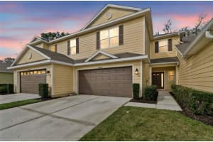 20112 INDIAN ROSEWOOD DRIVE, TAMPA, FL 33647 - MLS#MFRTB8486427